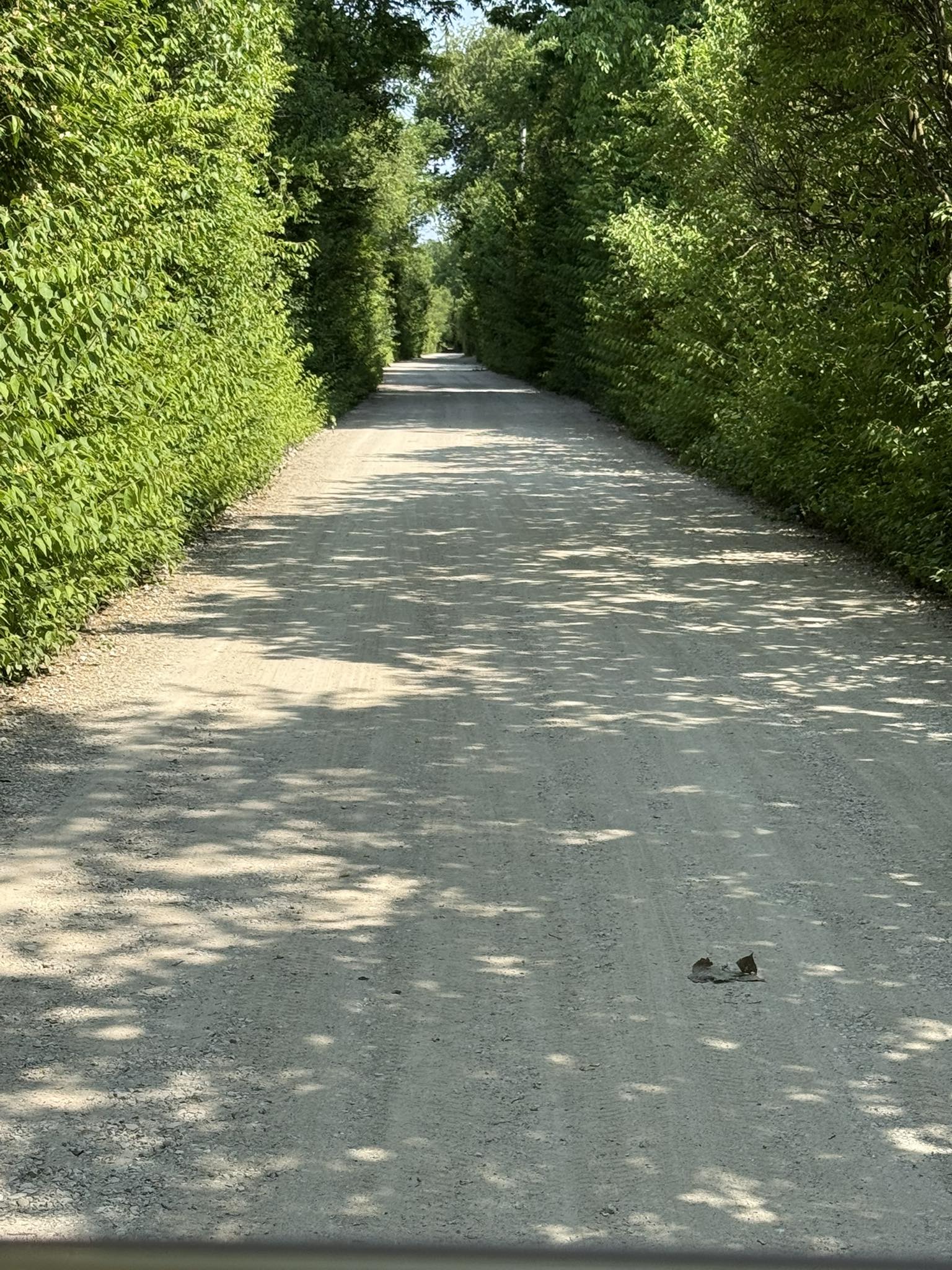 Scenic tree-lined private entrance drive to Deer Creek Recreation Club in Plainfield Illinois
